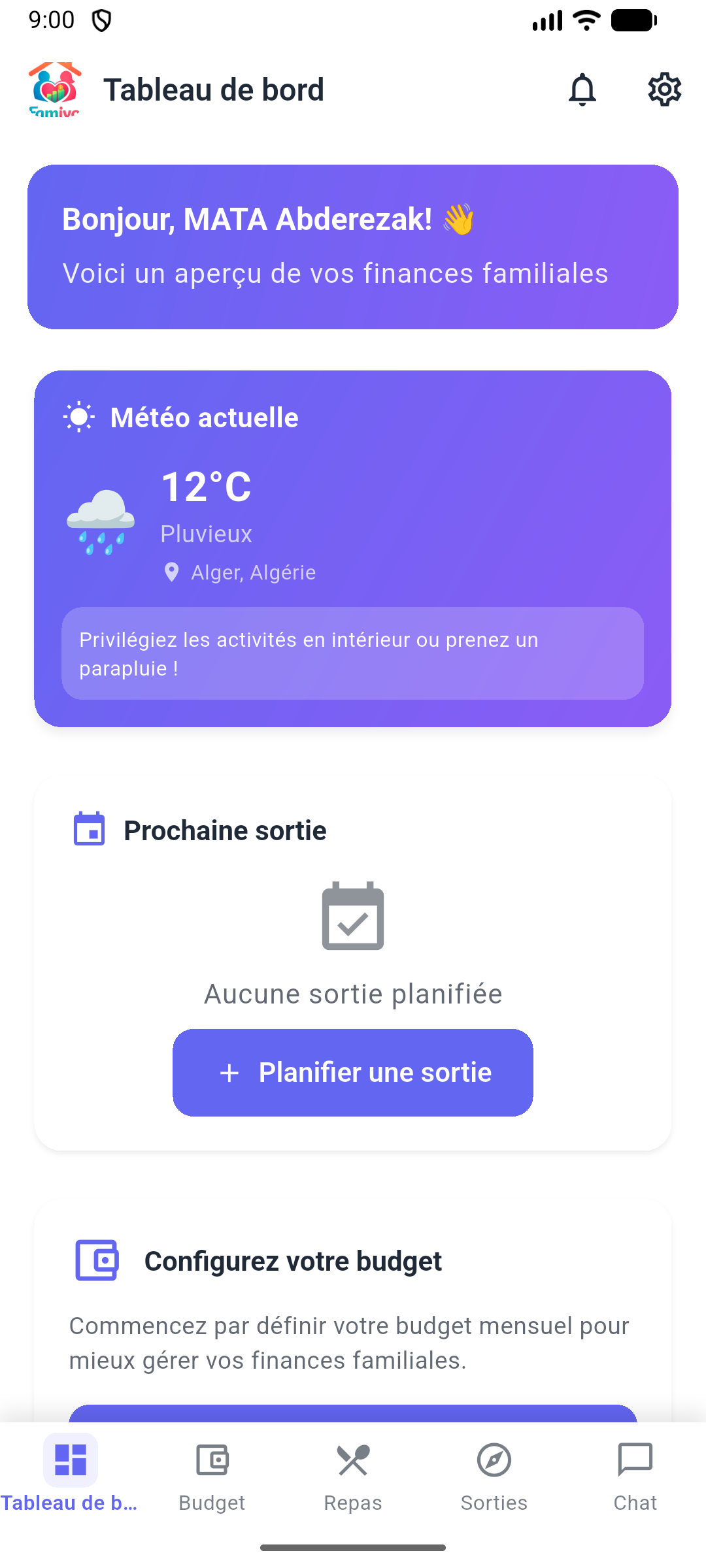 Graphiques Budget